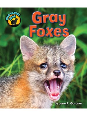cover image of Gray Foxes